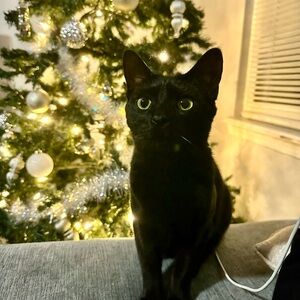 Meet your Posher, Michelle